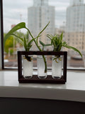 3 tube plant propagation station