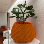 Indoor plant or succulent pot - swirl design
