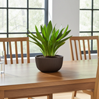 Decorative Succulent Planter Bowl - Modern Houseplant Pot