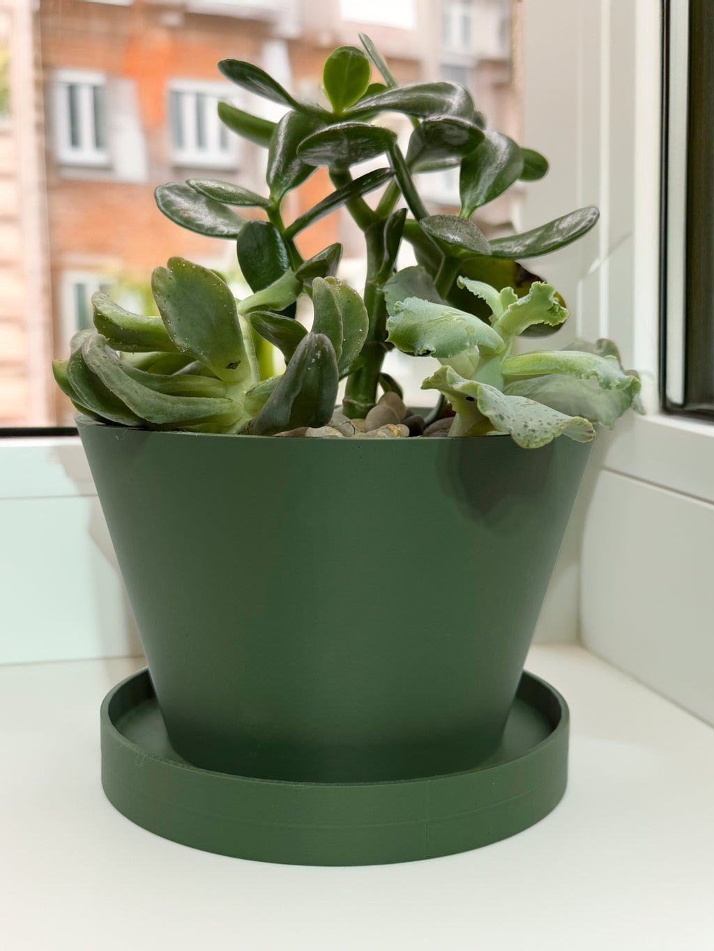 Succulent and houseplant planter with saucer
