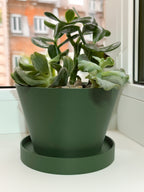 Succulent and houseplant planter with saucer