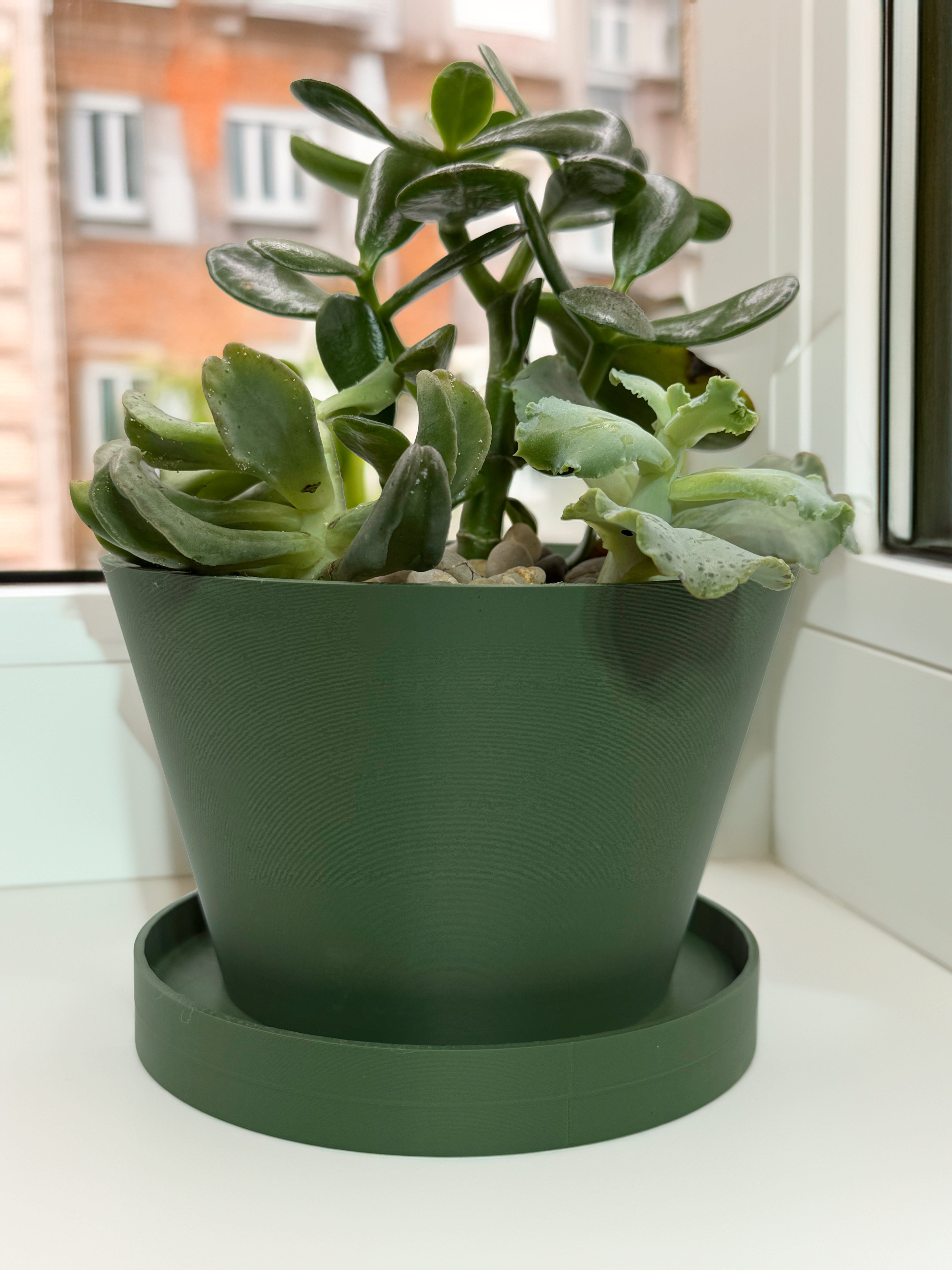 Succulent and houseplant planter with saucer