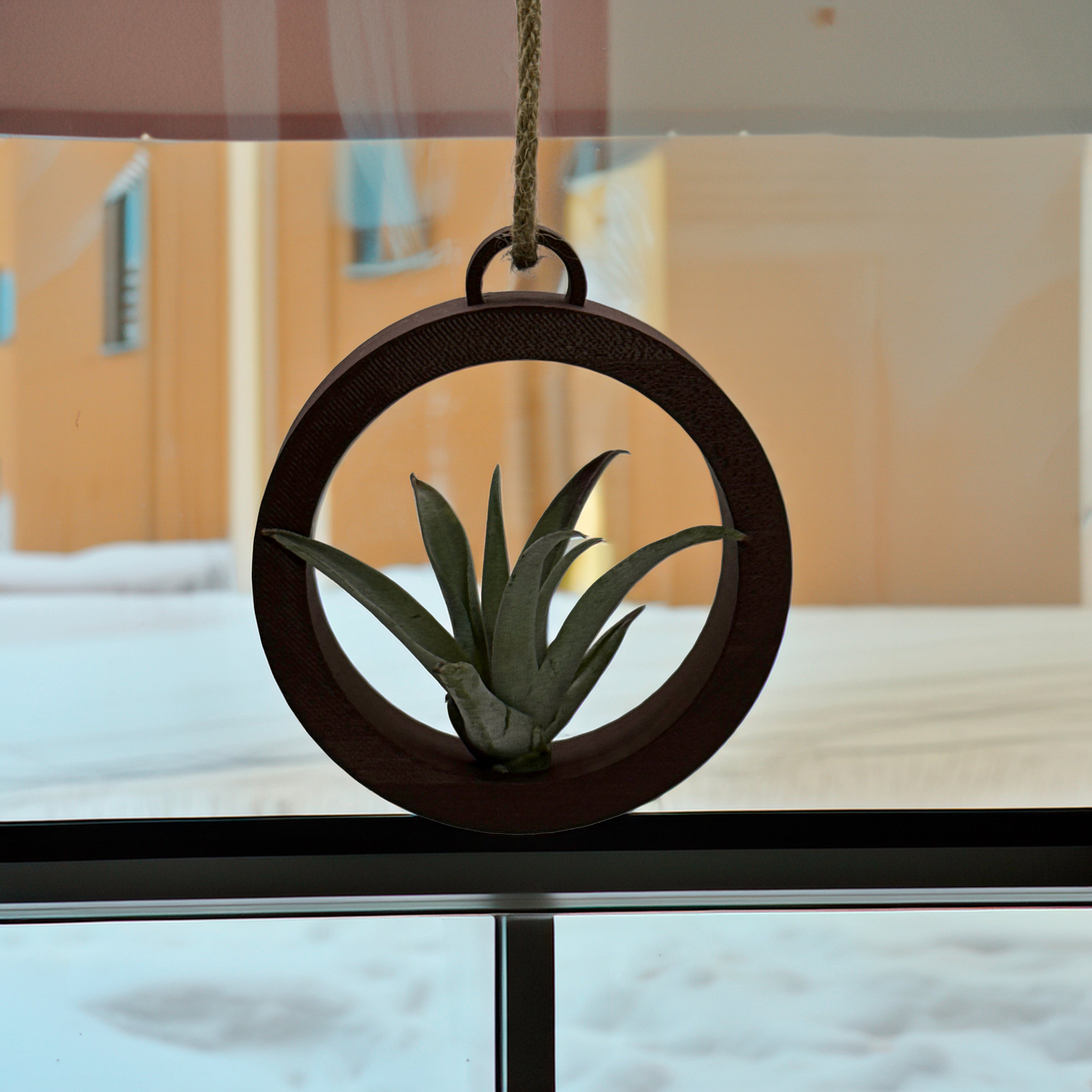 Air plant holder