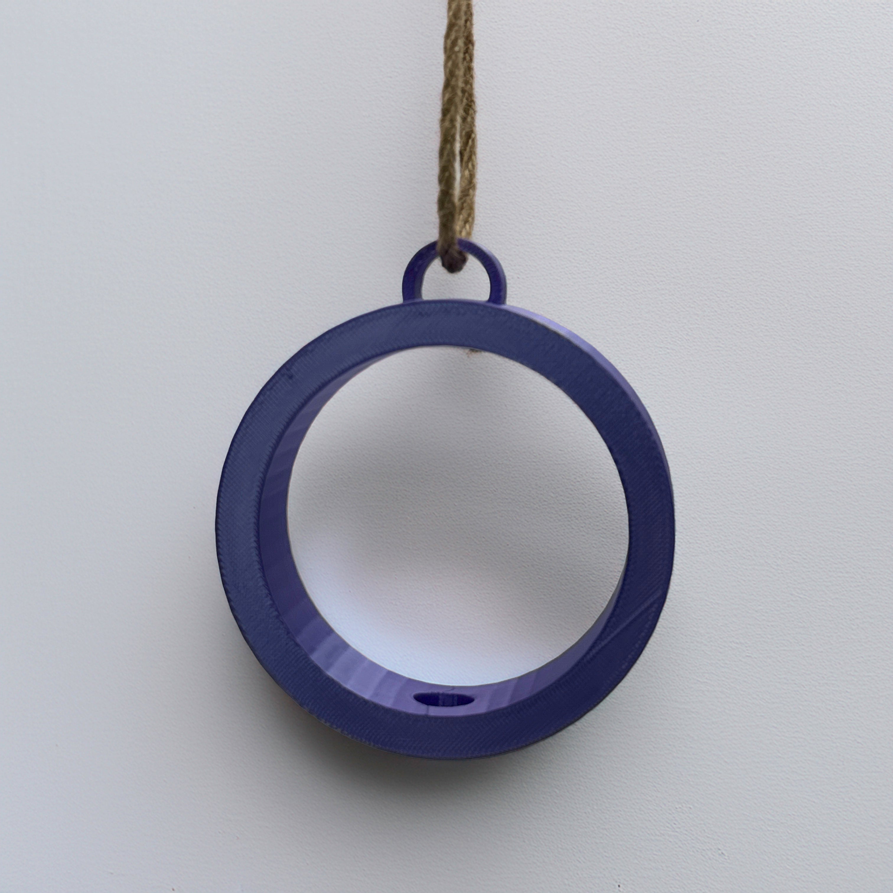 Air plant holder